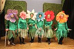 IMG_5582.JPG