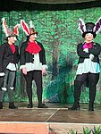 PIBShow06.jpg
